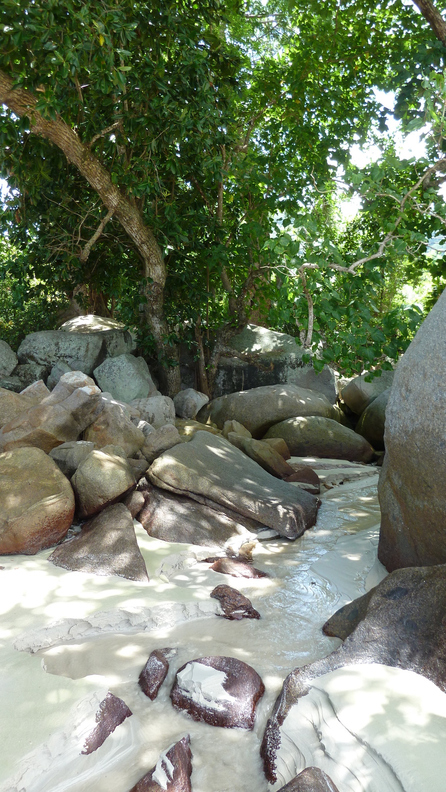照片 塞舌尔(Seychelles) 马埃岛(Mahe) 2011-10 99