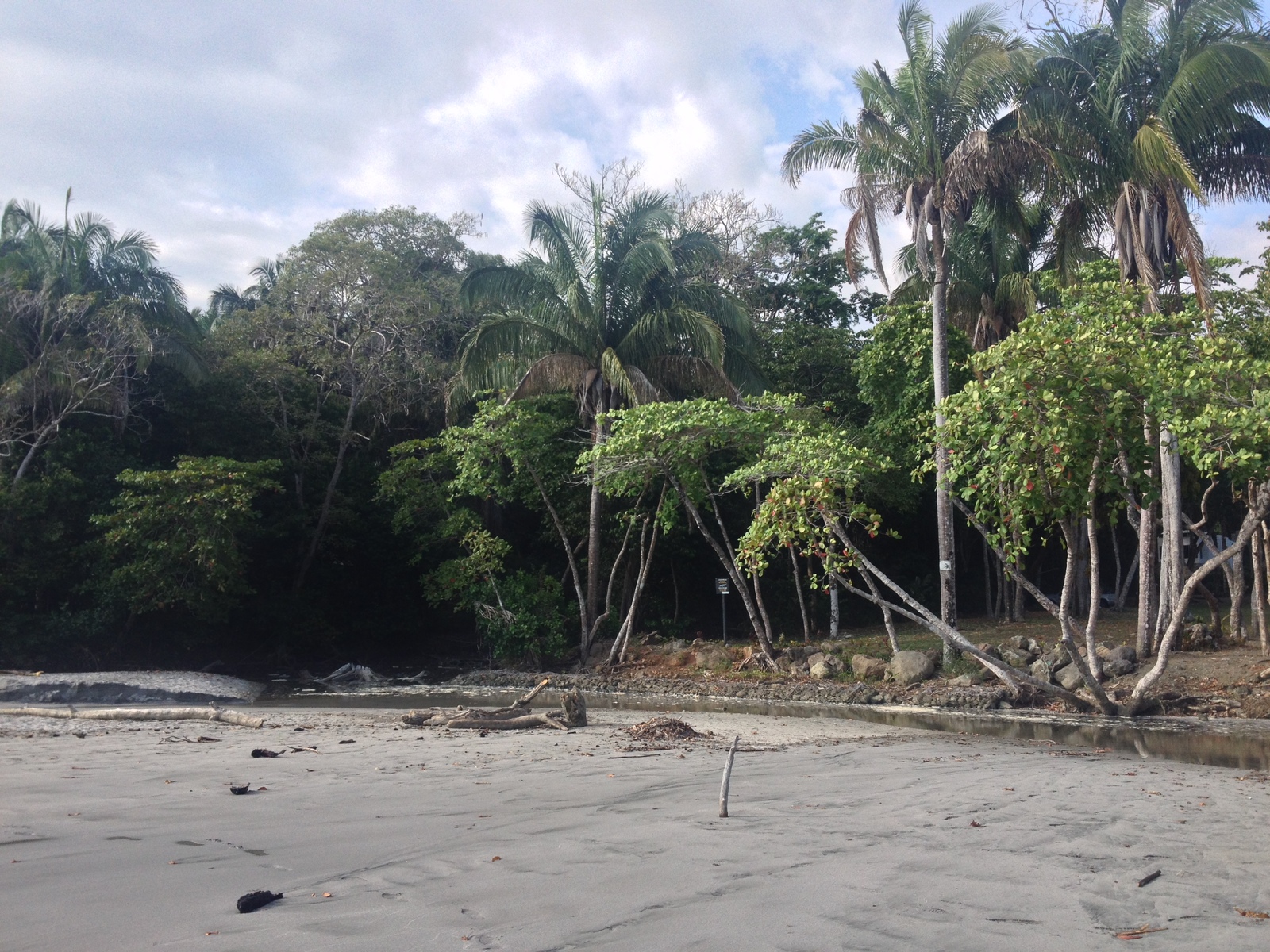 照片 哥斯达黎加(Costa Rica) 曼努埃尔安东尼奥(Manuel Antonio) 2015-03 94