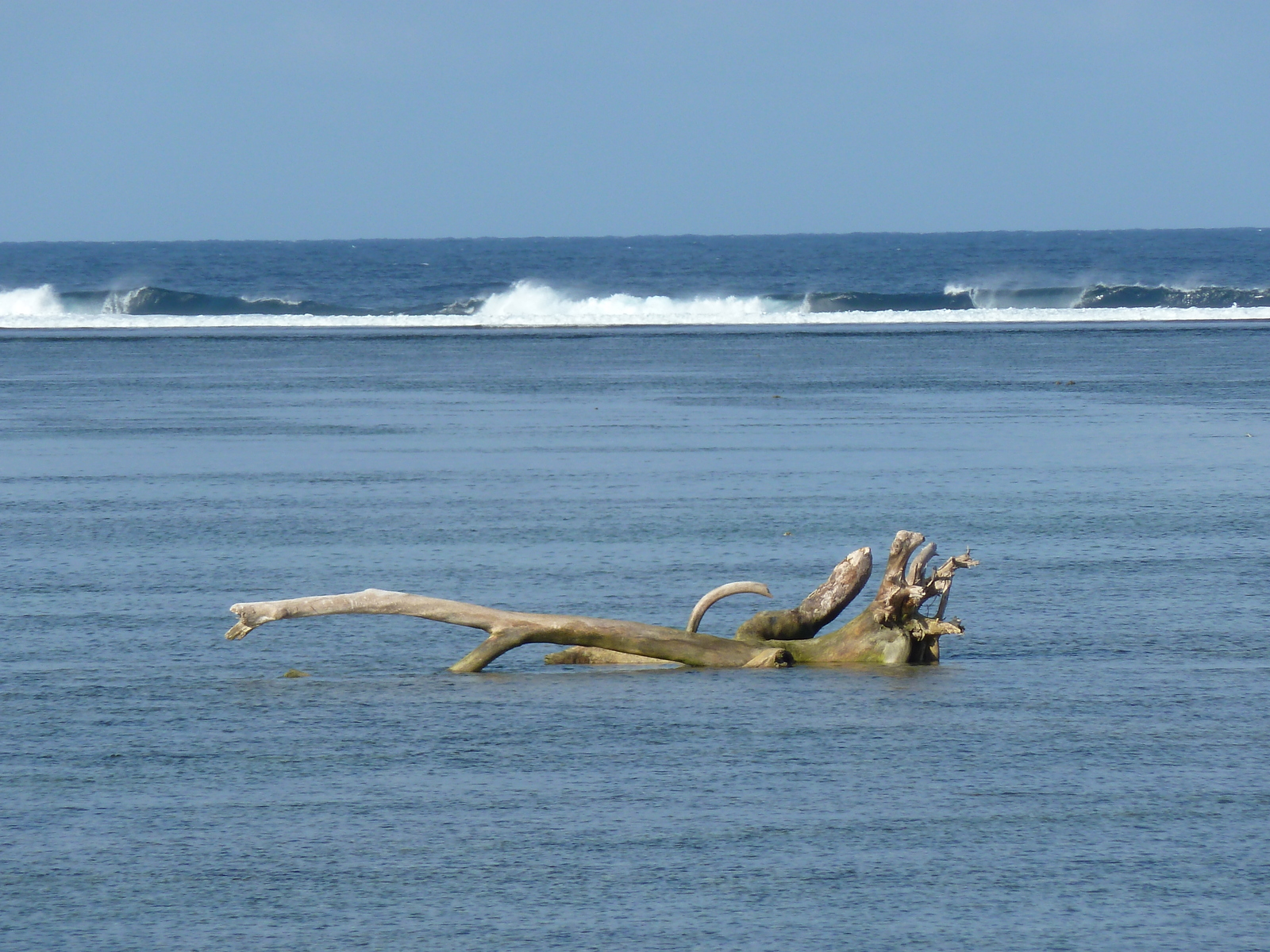 照片 斐济(Fiji) 斐济香格里拉度假酒店(Shangri La Fijian Resort) 2010-05 30