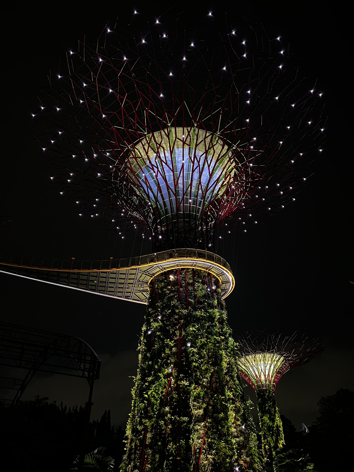 照片 新加坡(Singapore) 滨海湾花园(Garden by the bay) 2023-01 44