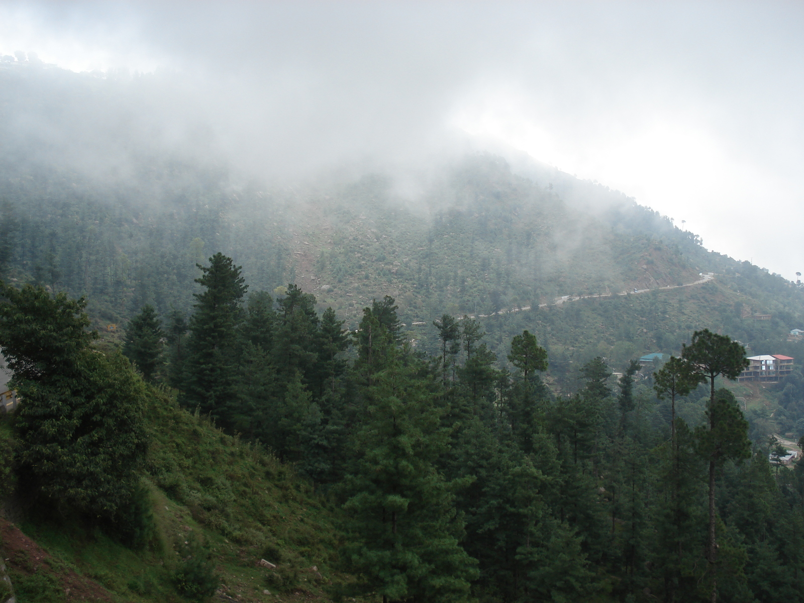 照片 巴基斯坦(Pakistan) 穆里(Murree) 2006-08 38