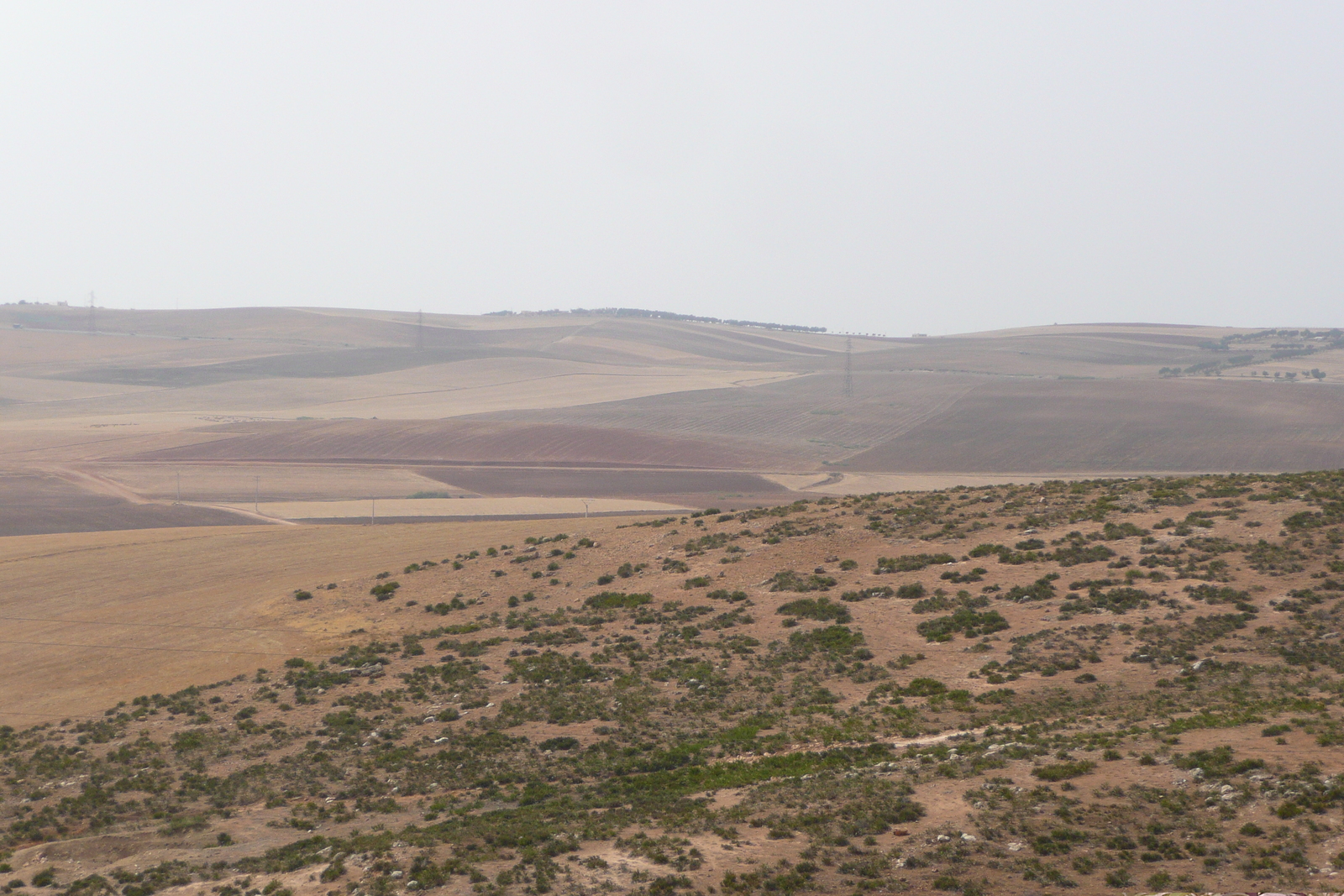 照片 摩洛哥(Morocco) 非斯至拉巴特公路(Fes to Rabat Road) 2008-07 52