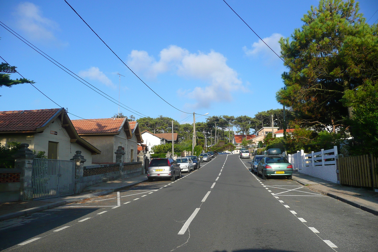 照片 法国(France) 拉卡诺(Lacanau) 2007-08 100