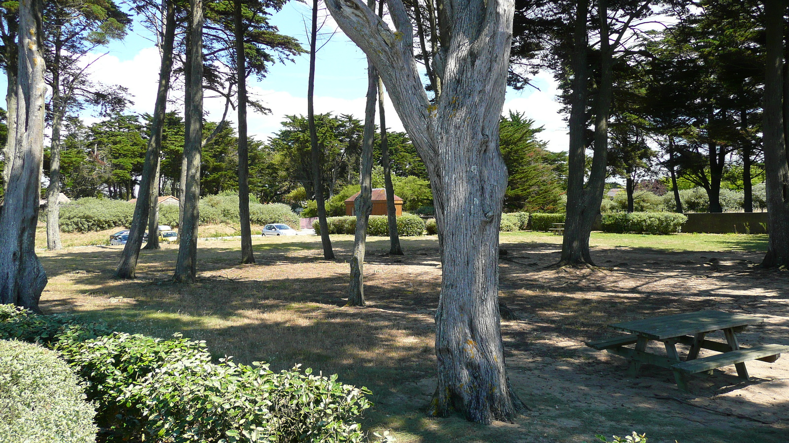 照片 法国(France) 普雷法耶(Prefailles) 圣吉尔达角至拉普雷(La pointe Saint Gildas to La Pree) 2007-08 19