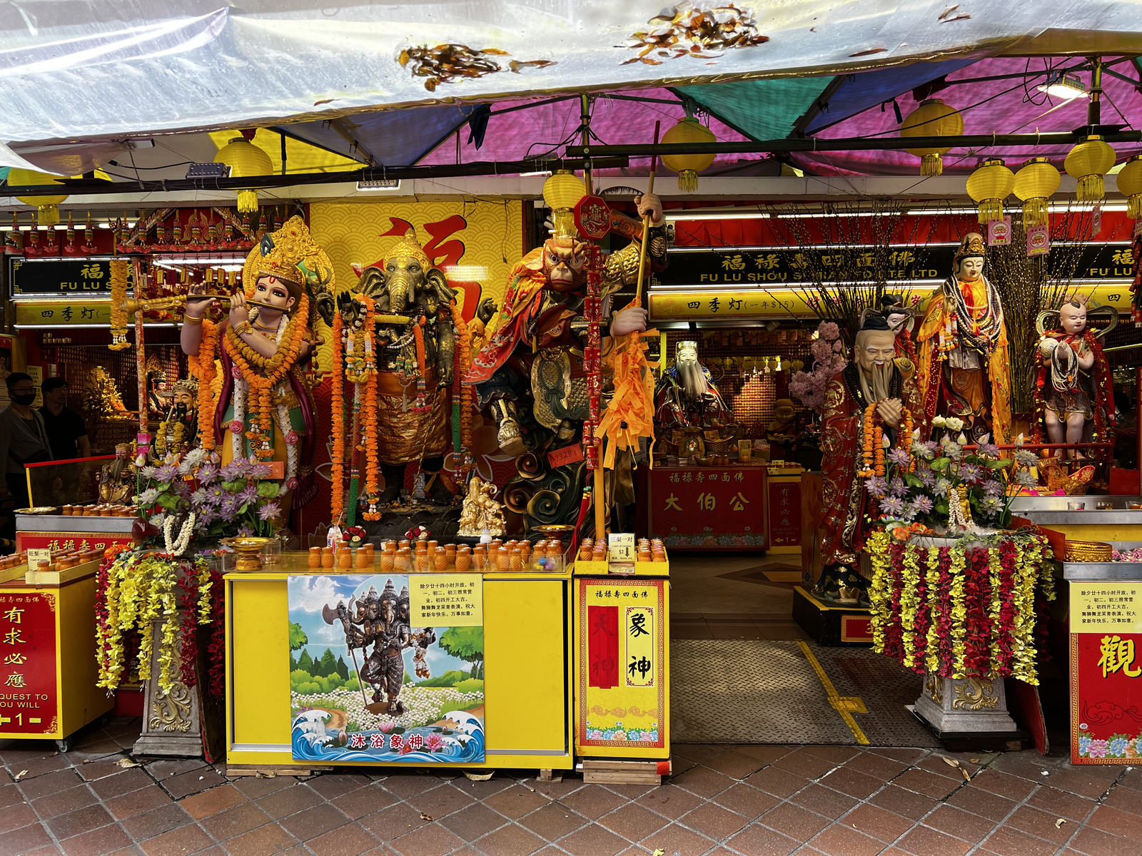 照片 新加坡(Singapore) 小印度(Little India) 2023-01 43