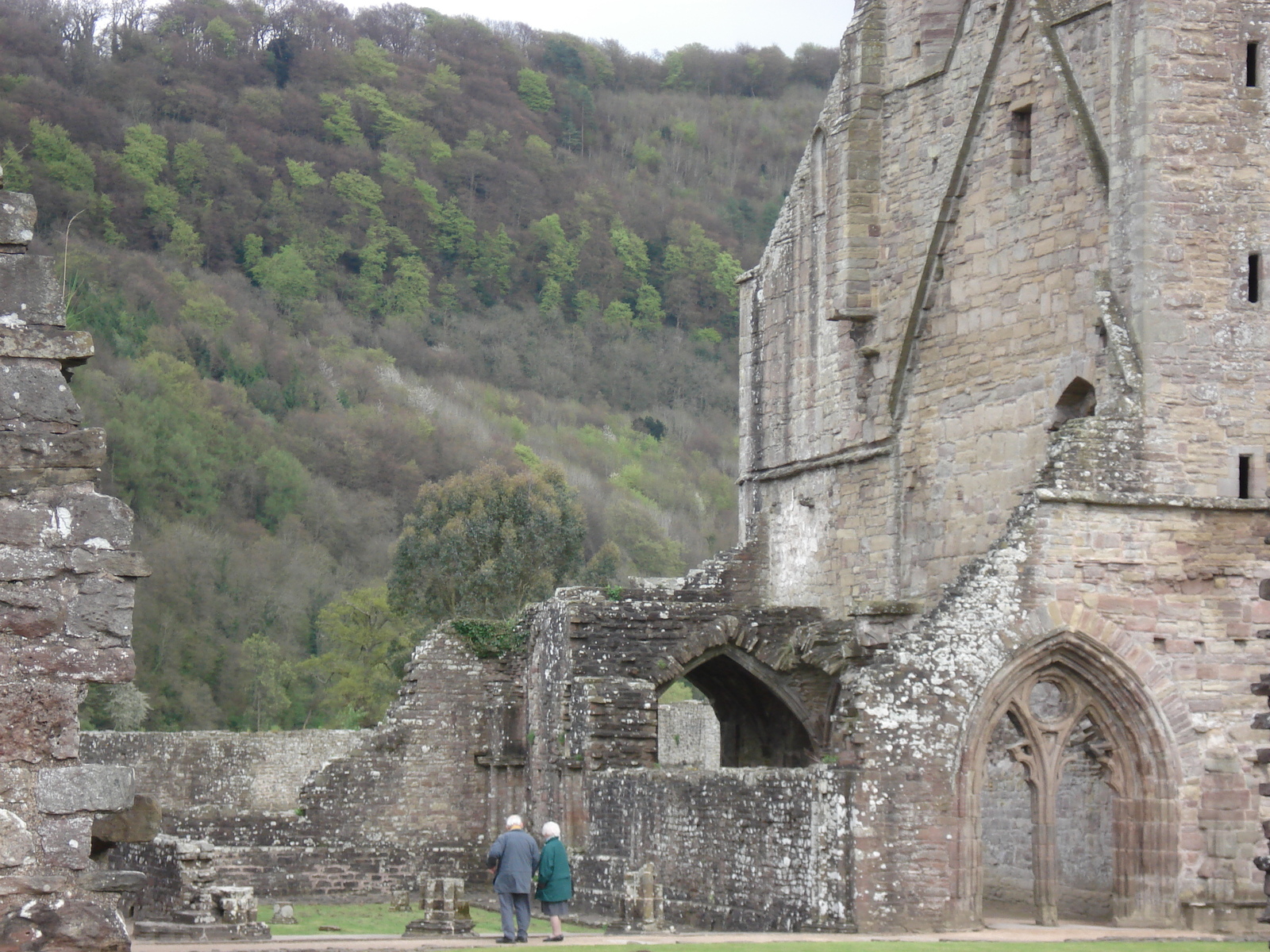 照片 英国(United Kingdom) 廷特恩(Tintern) 2006-05 43