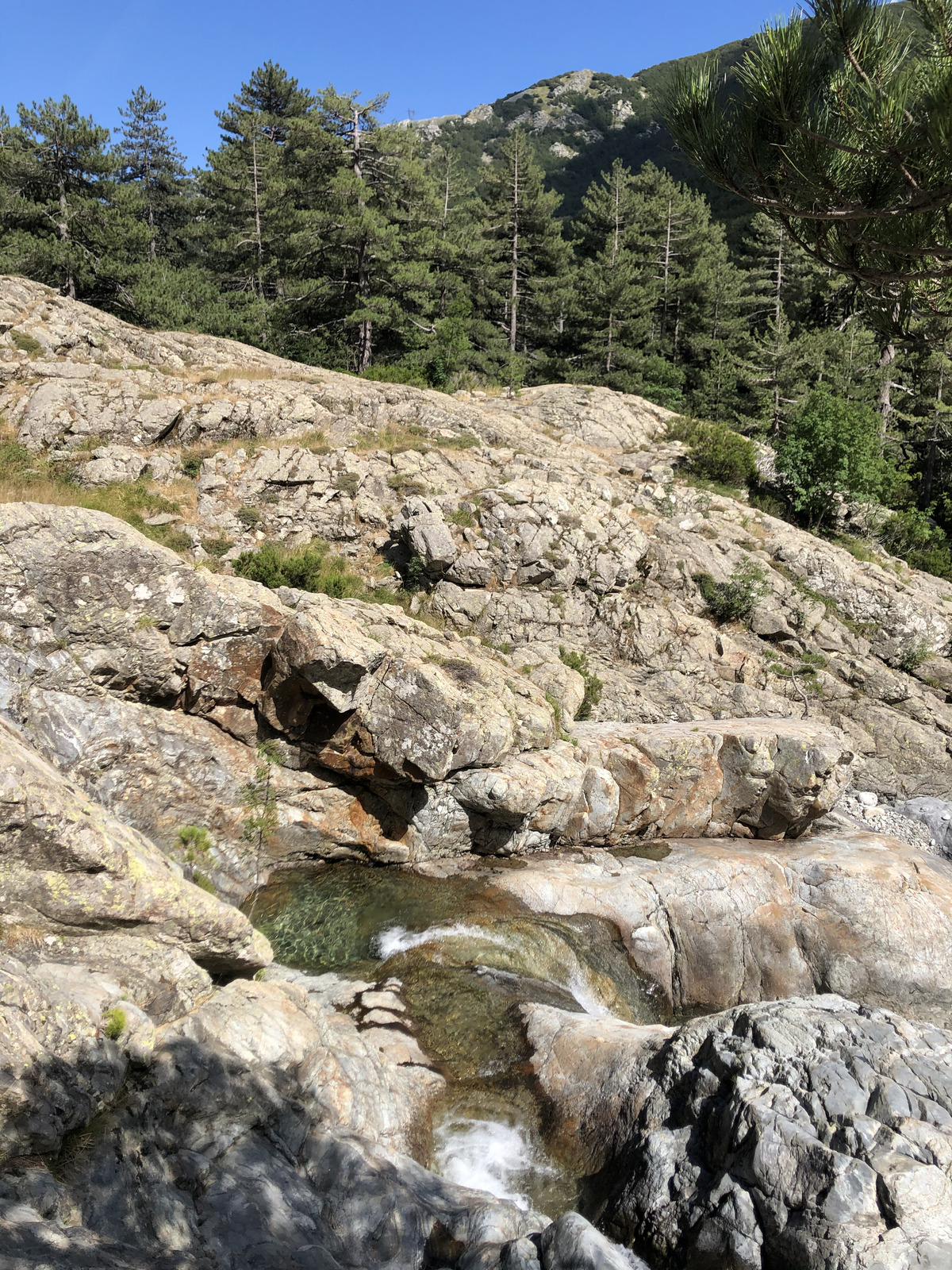 照片 法国(France) 科西嘉岛(Corsica) 英国人瀑布(Cascade des Anglais) 2020-07 36