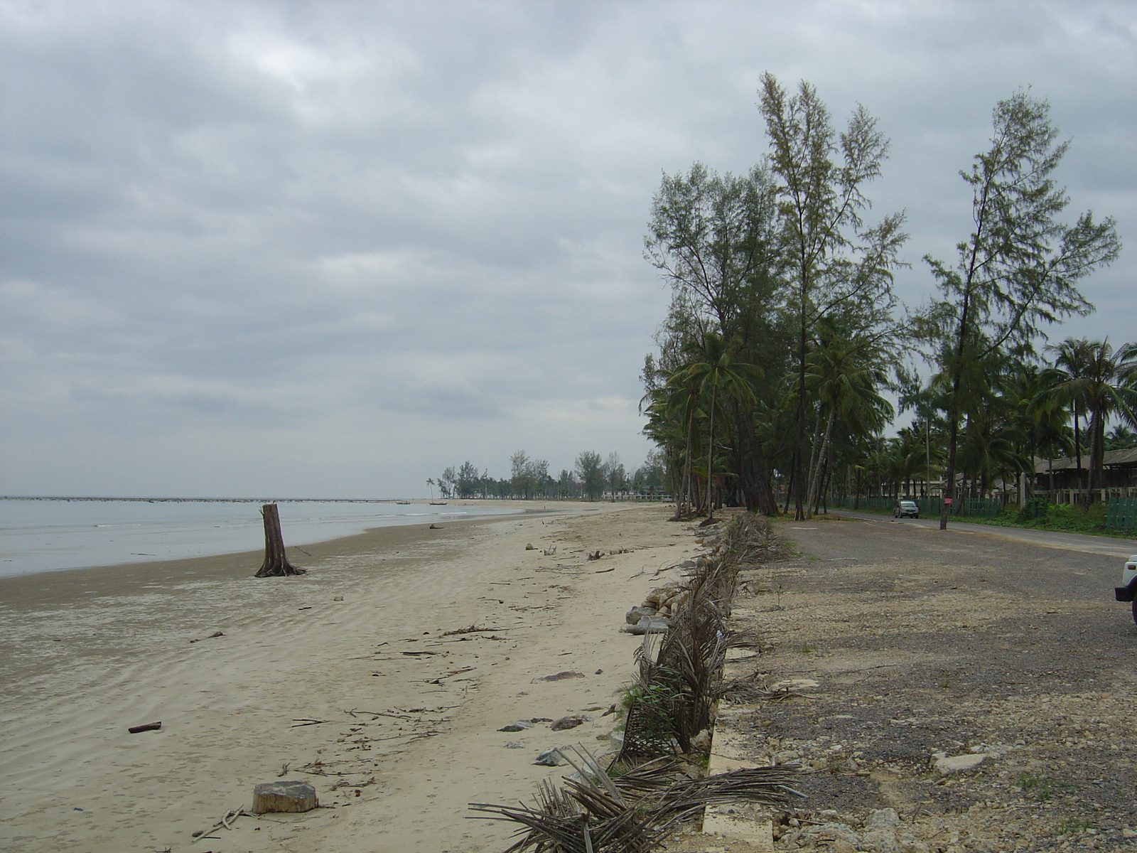 照片 泰国(Thailand) 考拉(Khao Lak) 2005-12 55