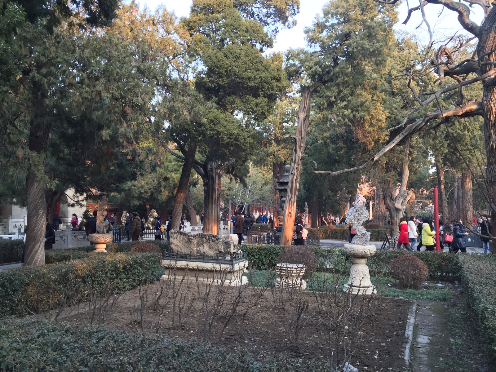 照片 中国(China) 北京(Beijing) 紫禁城(Forbidden City) 2015-12 134