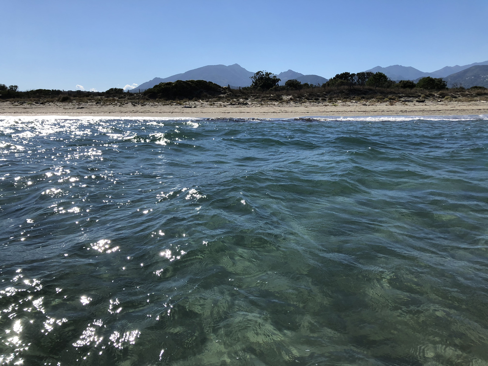照片 法国(France) 科西嘉岛(Corsica) 圣朱利亚诺(San Giuliano) 2018-09 32