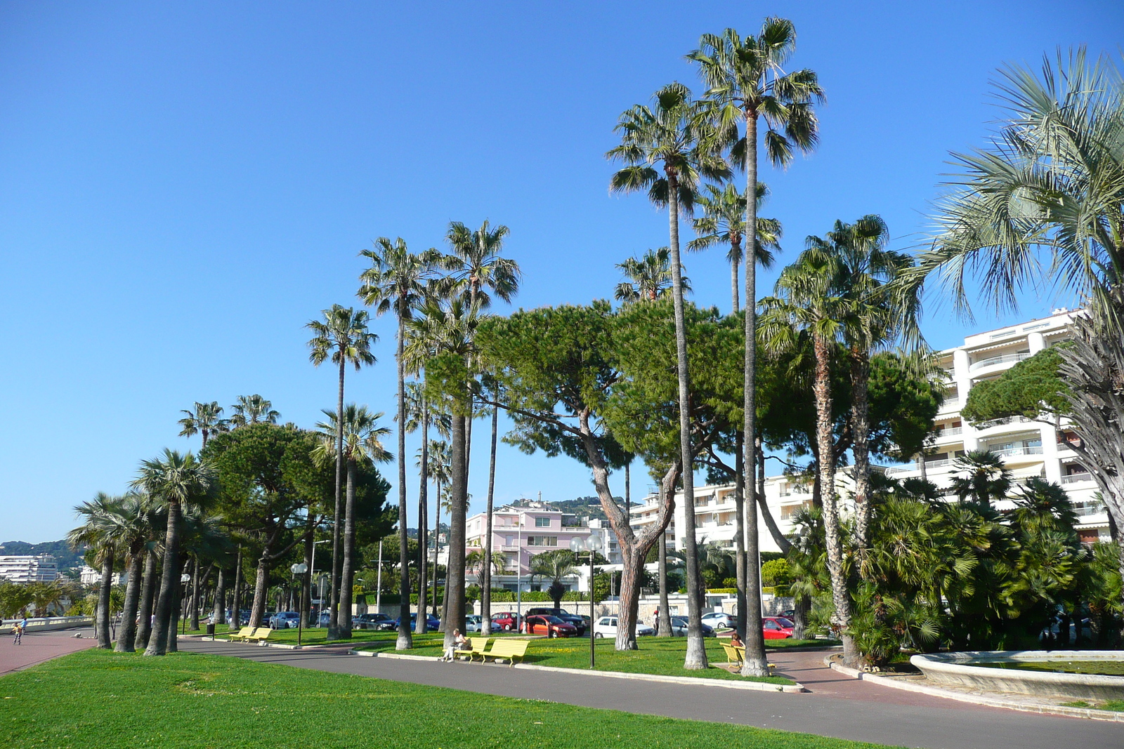 照片 法国(France) 戛纳(Cannes) 皮埃尔·康托港(Port Pierre Canto) 2008-05 40