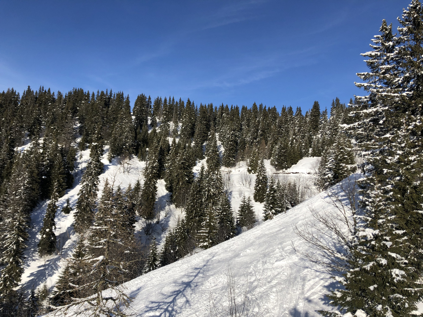 照片 法国(France) 阿尔利河畔普拉(Praz sur Arly) 2019-12 332