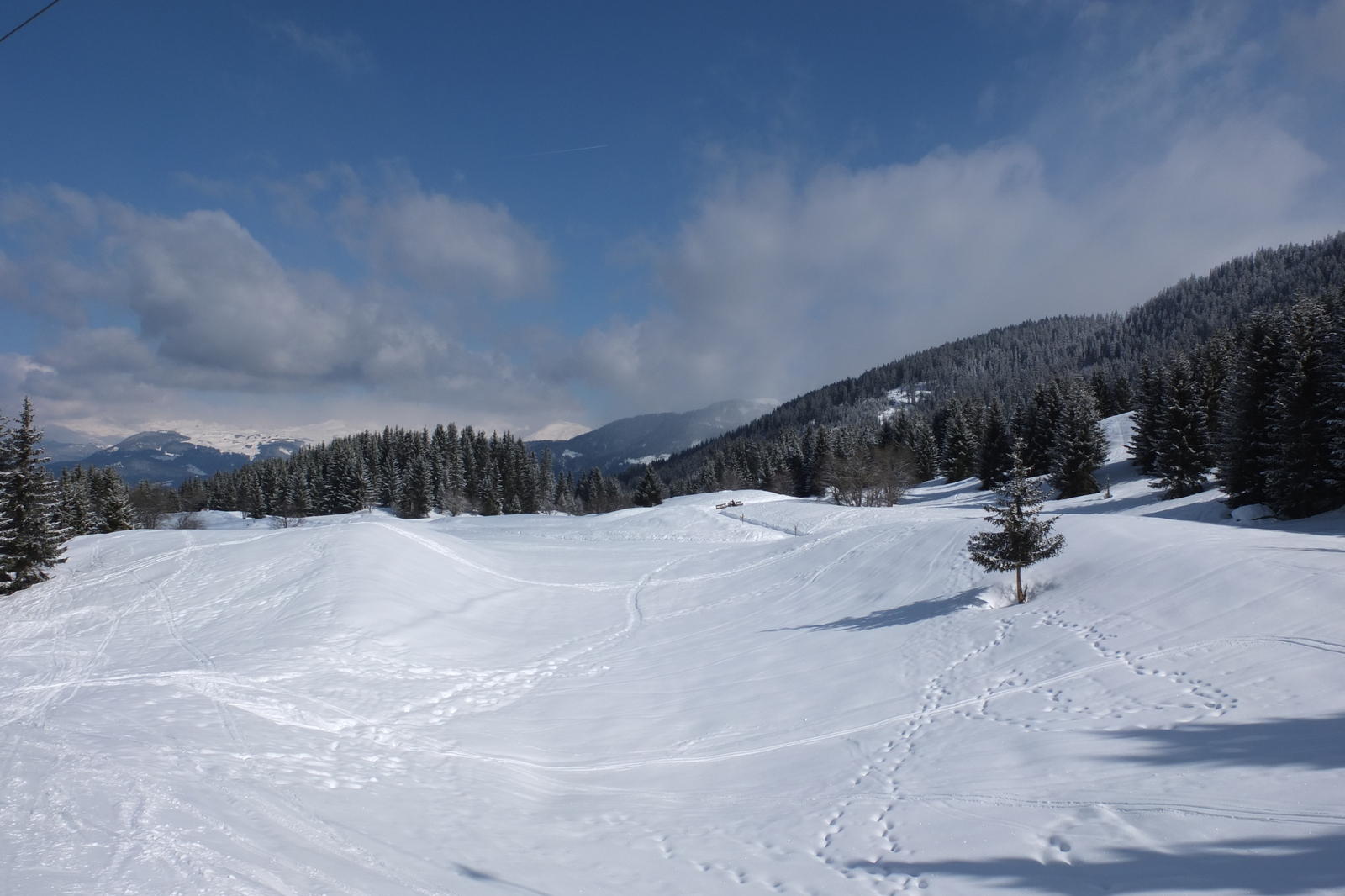 照片 法国(France) 三峡谷滑雪场(Les 3 Vallees) 2013-03 121