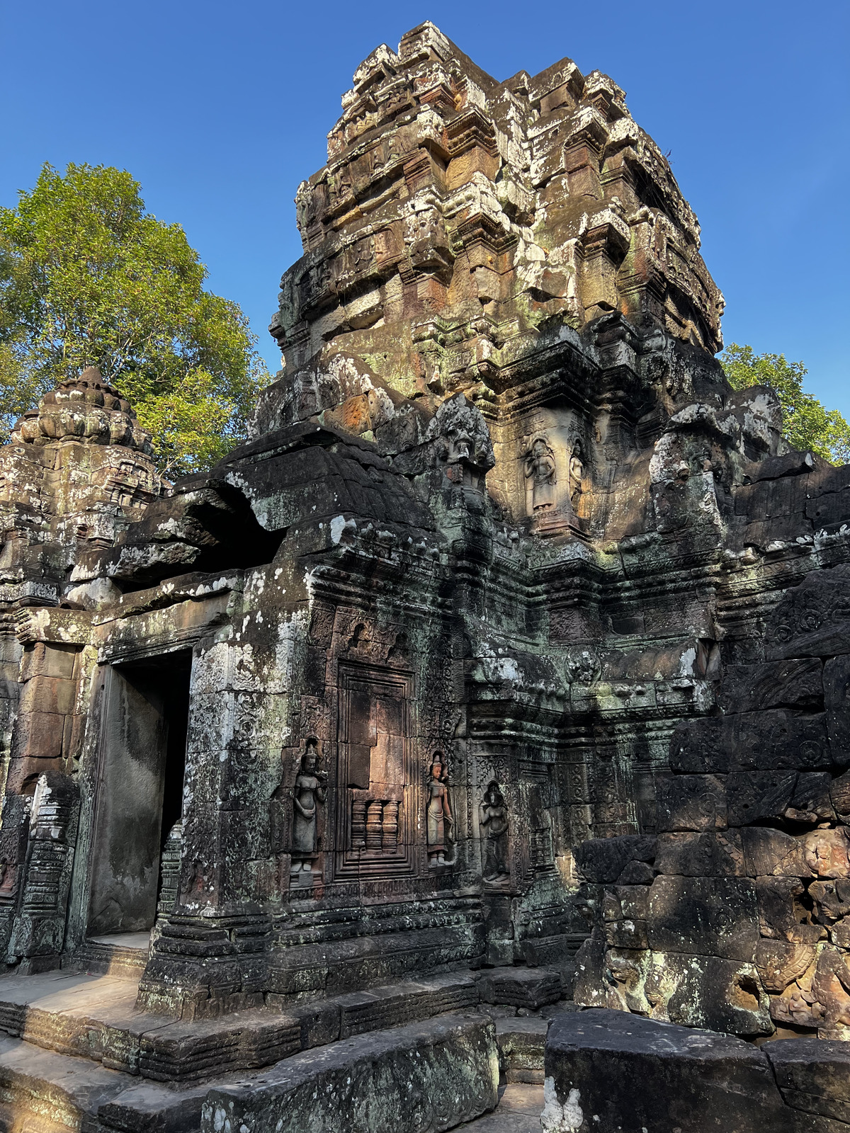 照片 柬埔寨(Cambodia) 暹粒(Siem Reap) 塔松寺(Ta Som) 2023-01 15