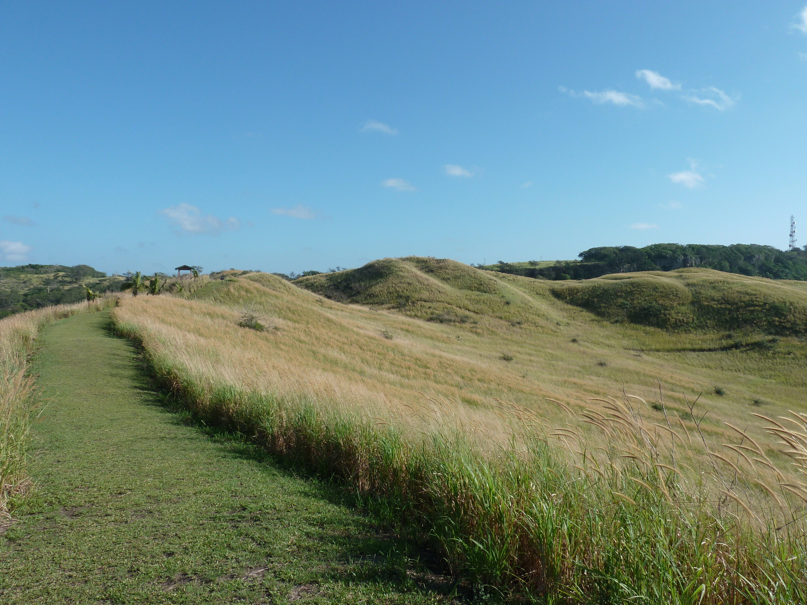 照片 斐济(Fiji) 辛加东卡沙丘国家公园(Sigatoka sand dunes national park) 2010-05 25