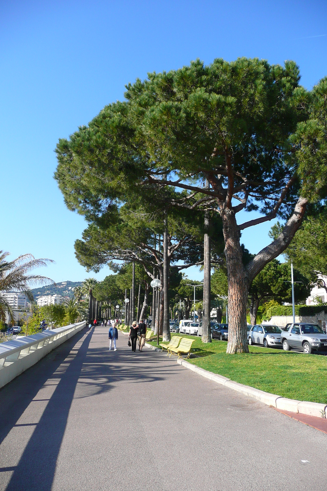 照片 法国(France) 戛纳(Cannes) 皮埃尔·康托港(Port Pierre Canto) 2008-05 41