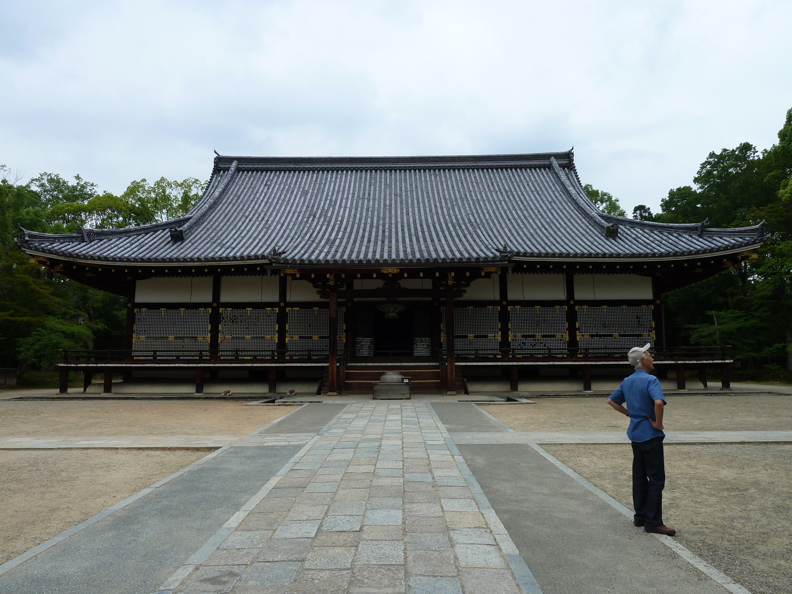 照片 日本(Japan) 京都(Kyoto) 仁和寺(Ninna ji Temple) 2010-06 70