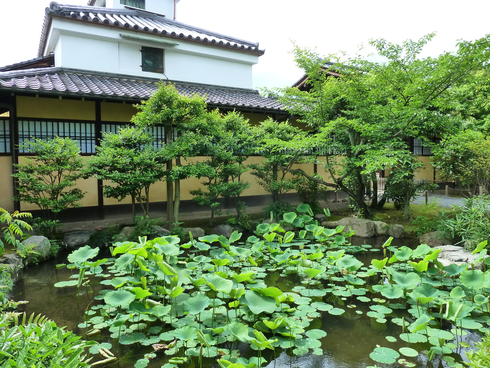 照片 日本(Japan) 京都(Kyoto) 涉成园(Shosei en Garden) 2010-06 11