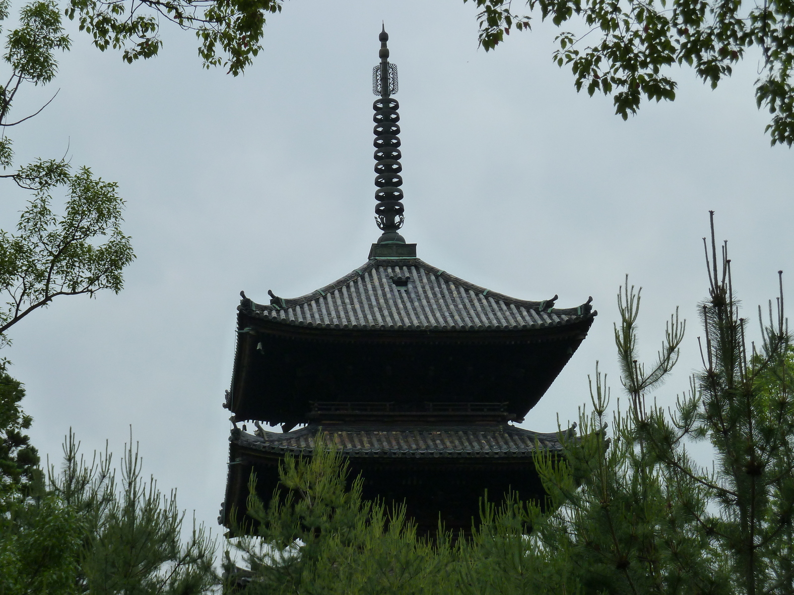 照片 日本(Japan) 京都(Kyoto) 仁和寺(Ninna ji Temple) 2010-06 11