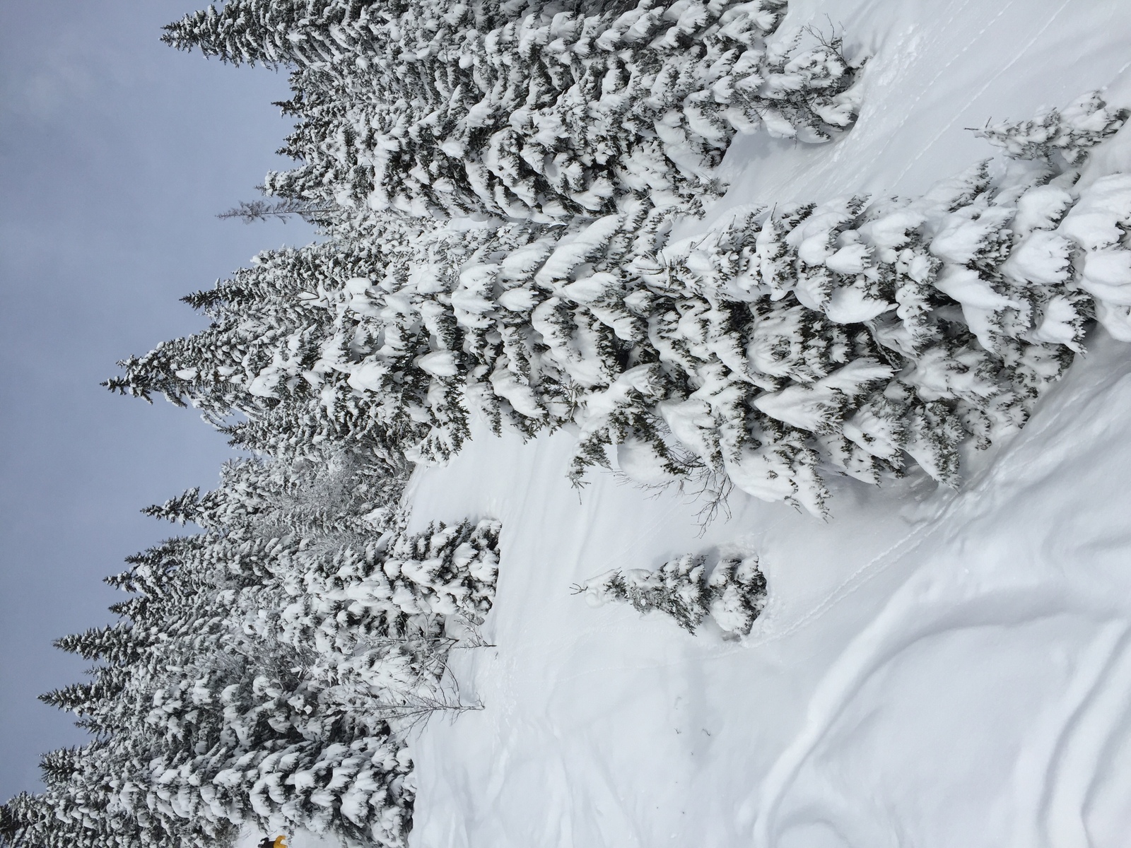 照片 法国(France) 梅杰夫(Megeve) 2016-02 28