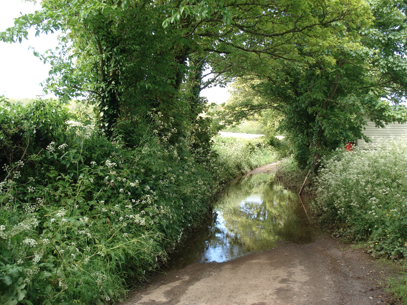 照片 英国(United Kingdom) 彭布罗克郡(Pembrokeshire) 2006-05 32