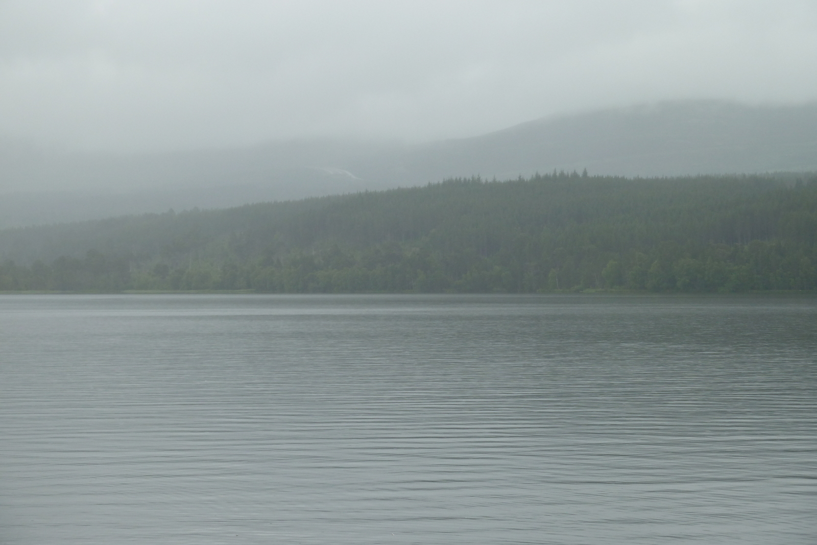 照片 英国(United Kingdom) 苏格兰(Scotland) 福里斯至阿维莫尔公路(Forres to Aviemore road) 2011-07 15