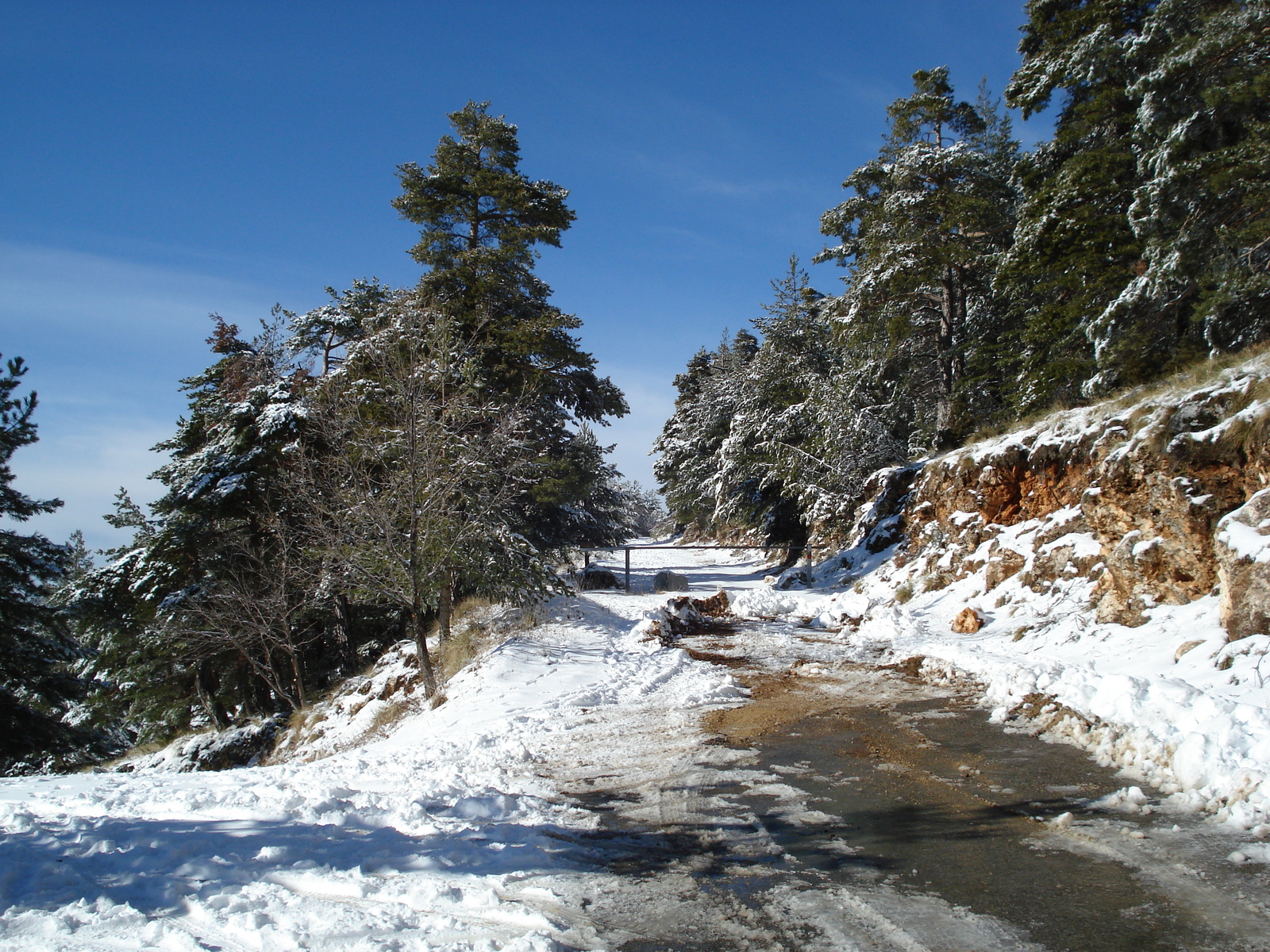 照片 法国(France) 格雷奥利耶雪场(Greolieres les neiges) 2007-01 37