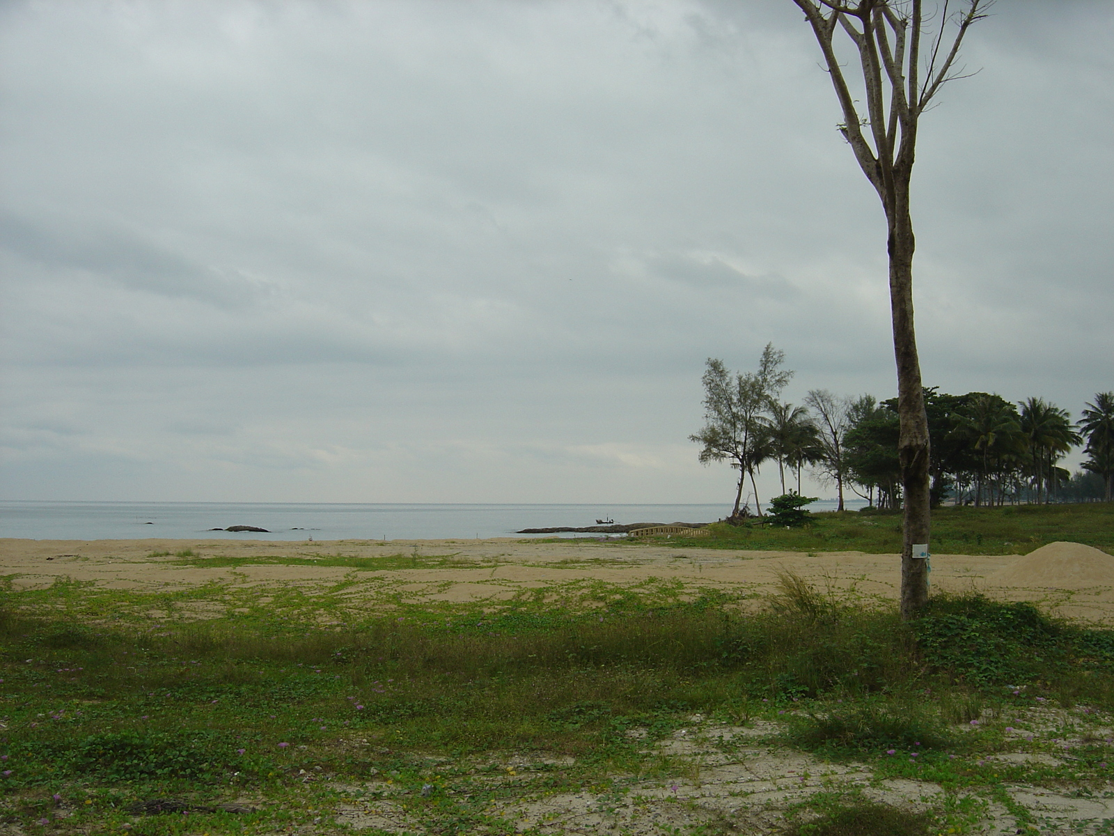 照片 泰国(Thailand) 考拉(Khao Lak) 2005-12 18