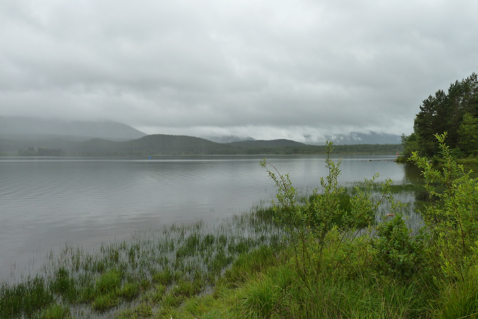 照片 英国(United Kingdom) 苏格兰(Scotland) 福里斯至阿维莫尔公路(Forres to Aviemore road) 2011-07 11