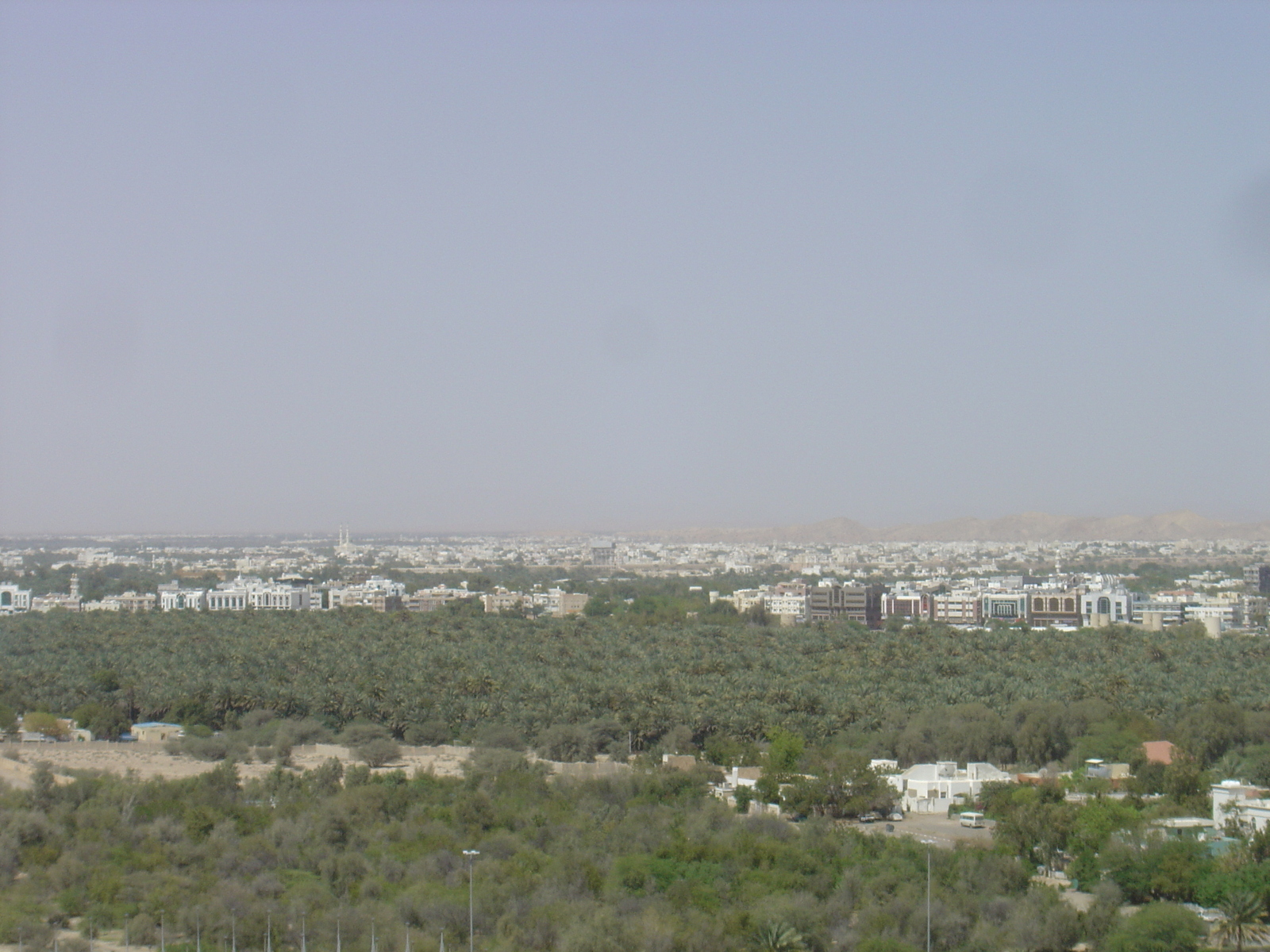 照片 阿联酋(United Arab Emirates) 艾因(Al Ain) 2005-03 79