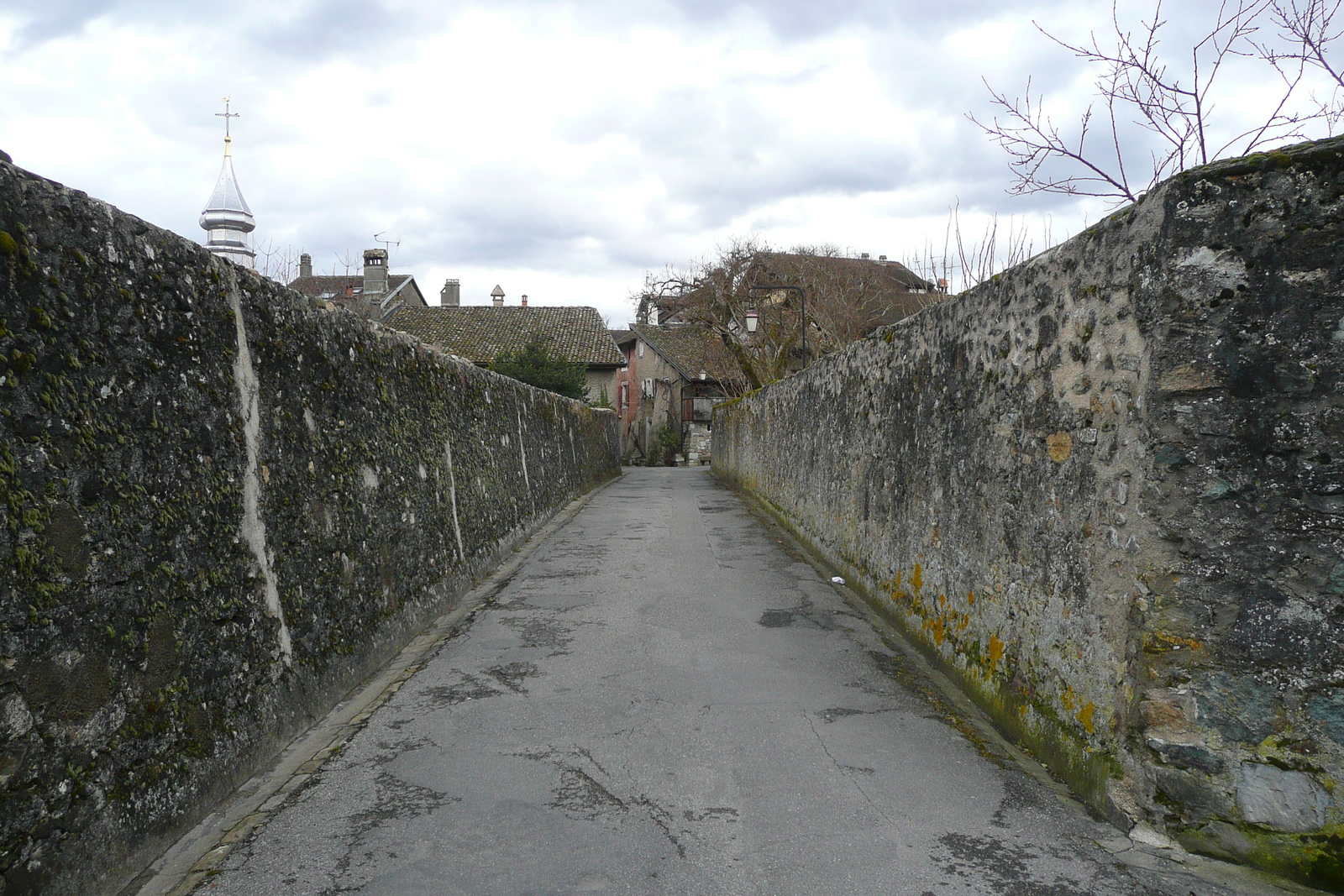 照片 法国(France) 伊瓦尔(Yvoire) 2010-02 63