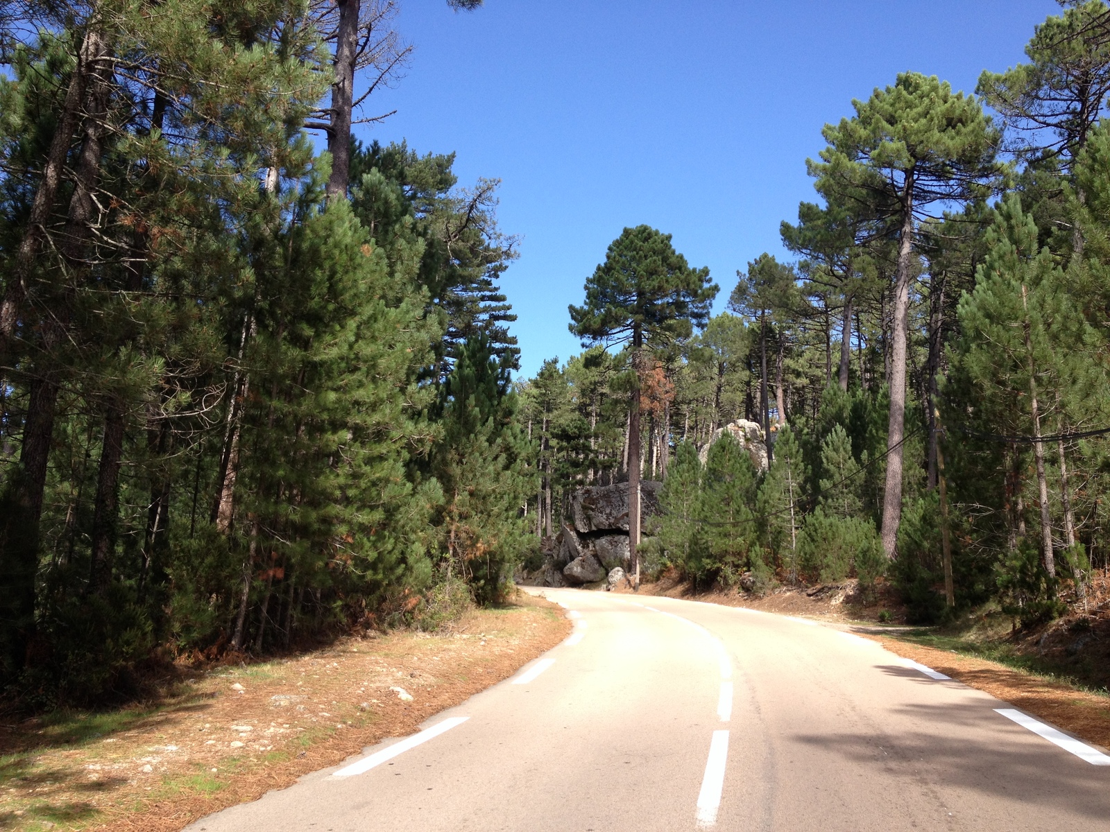 照片 法国(France) 科西嘉岛(Corsica) 奥斯佩达莱森林(L'ospedale Forest) 2012-09 23