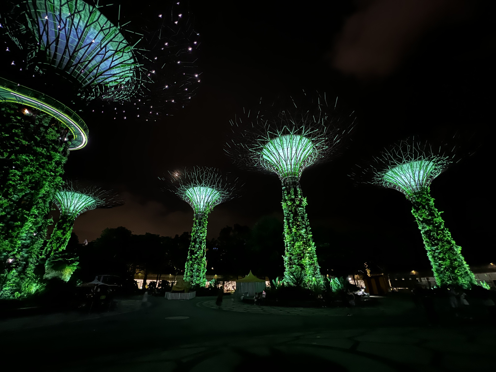 照片 新加坡(Singapore) 滨海湾花园(Garden by the bay) 2023-01 32