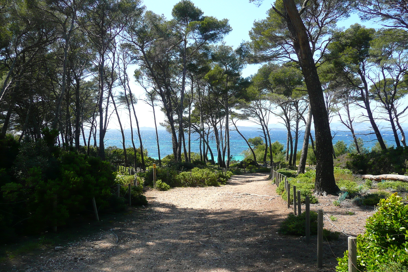 照片 法国(France) 波克罗勒岛(Porquerolles Island) 勒坎角(Pointe du Lequin) 2008-05 67