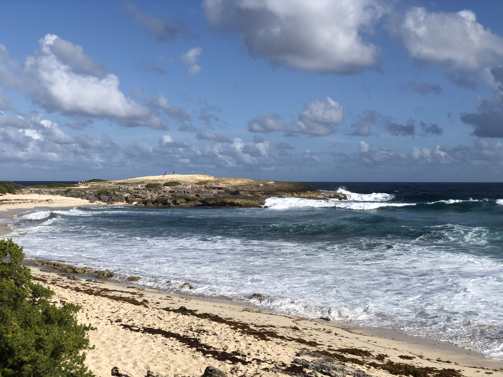照片 瓜德罗普(Guadeloupe) 城堡角(Castle Point) 2021-02 31