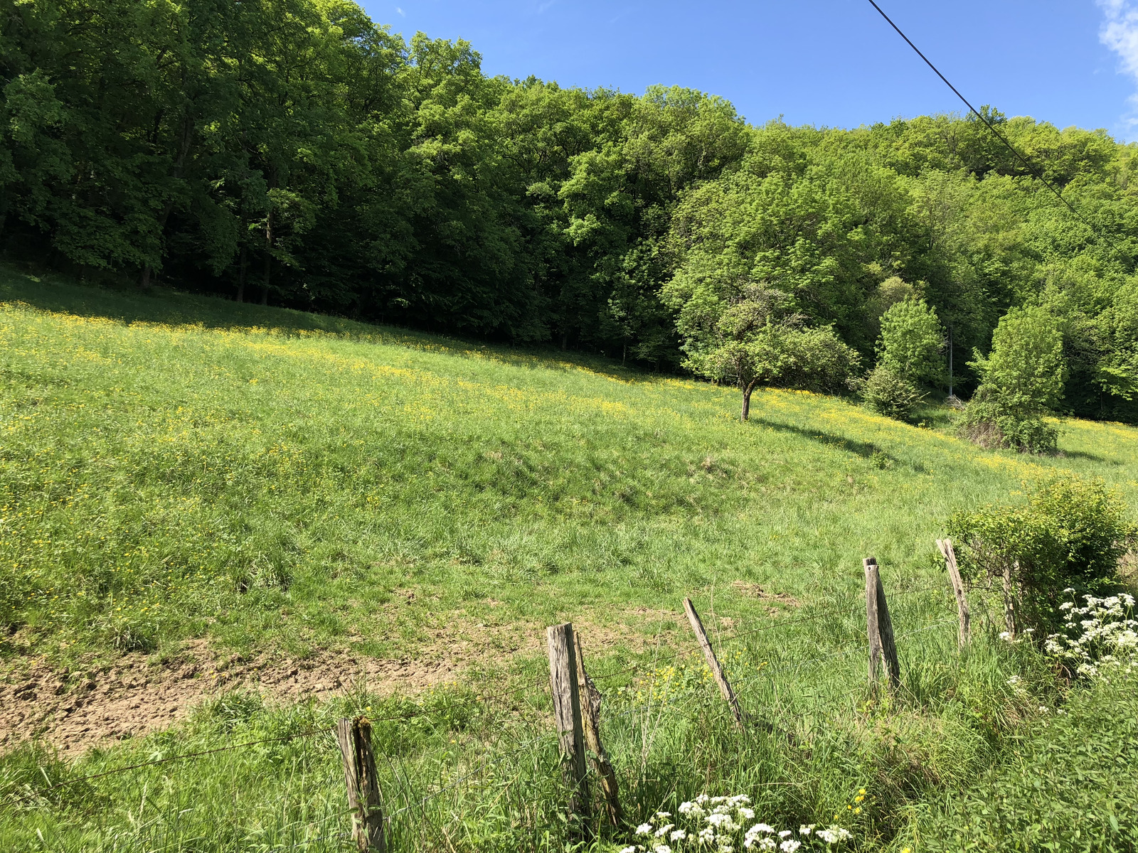 照片 法国(France) 弗卢瓦拉克(Floirac) 2018-04 146