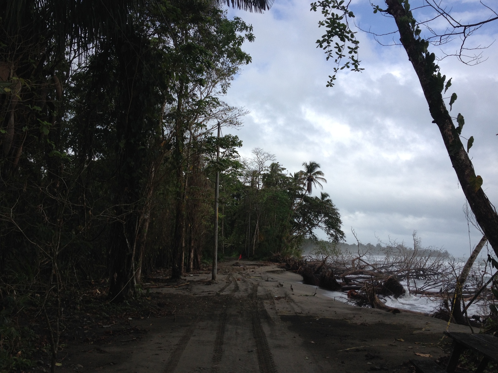 照片 哥斯达黎加(Costa Rica) 卡维塔(Cahuita) 2015-03 187