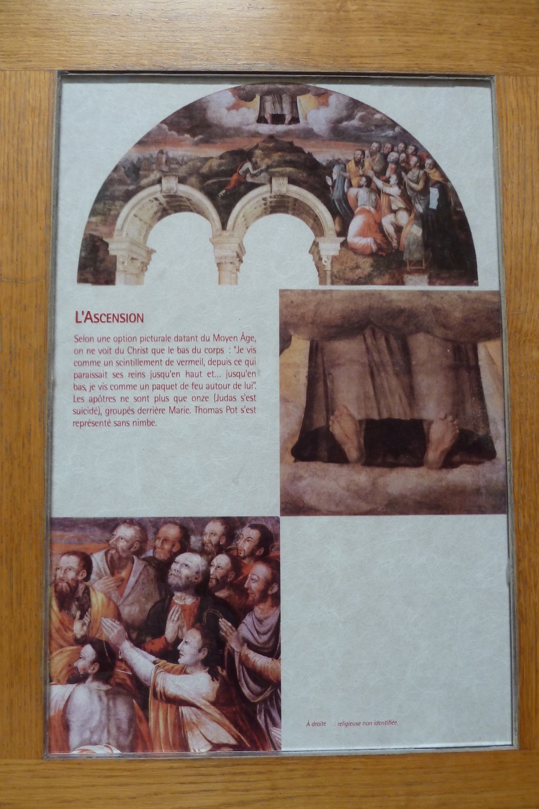 照片 法国(France) 丰特夫罗(Fontevraud) 2011-05 141