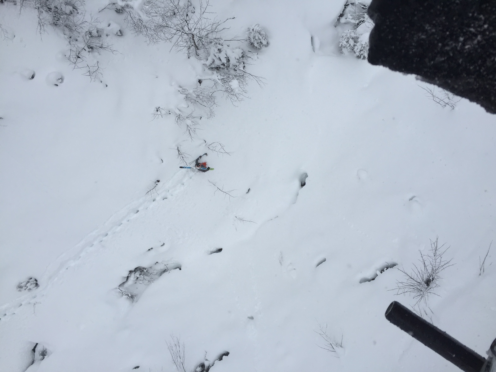照片 法国(France) 梅杰夫(Megeve) 2016-02 4