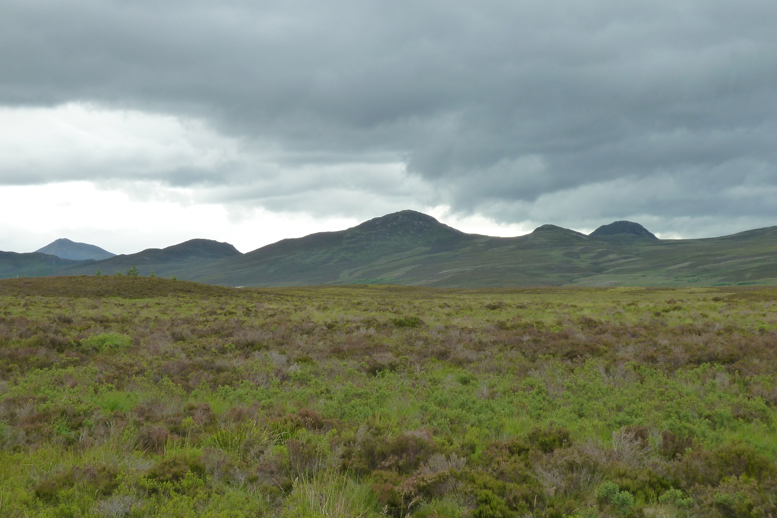 照片 英国(United Kingdom) 苏格兰(Scotland) 福里斯至阿维莫尔公路(Forres to Aviemore road) 2011-07 0