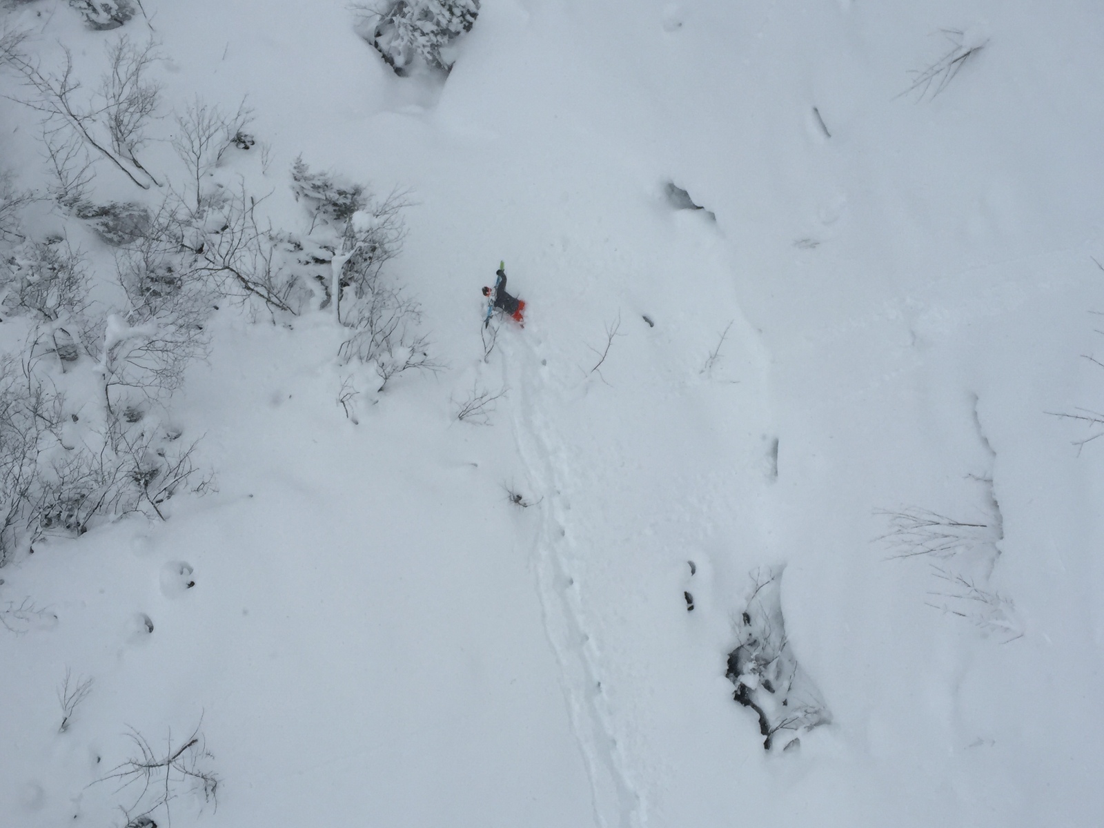 照片 法国(France) 梅杰夫(Megeve) 2016-02 5