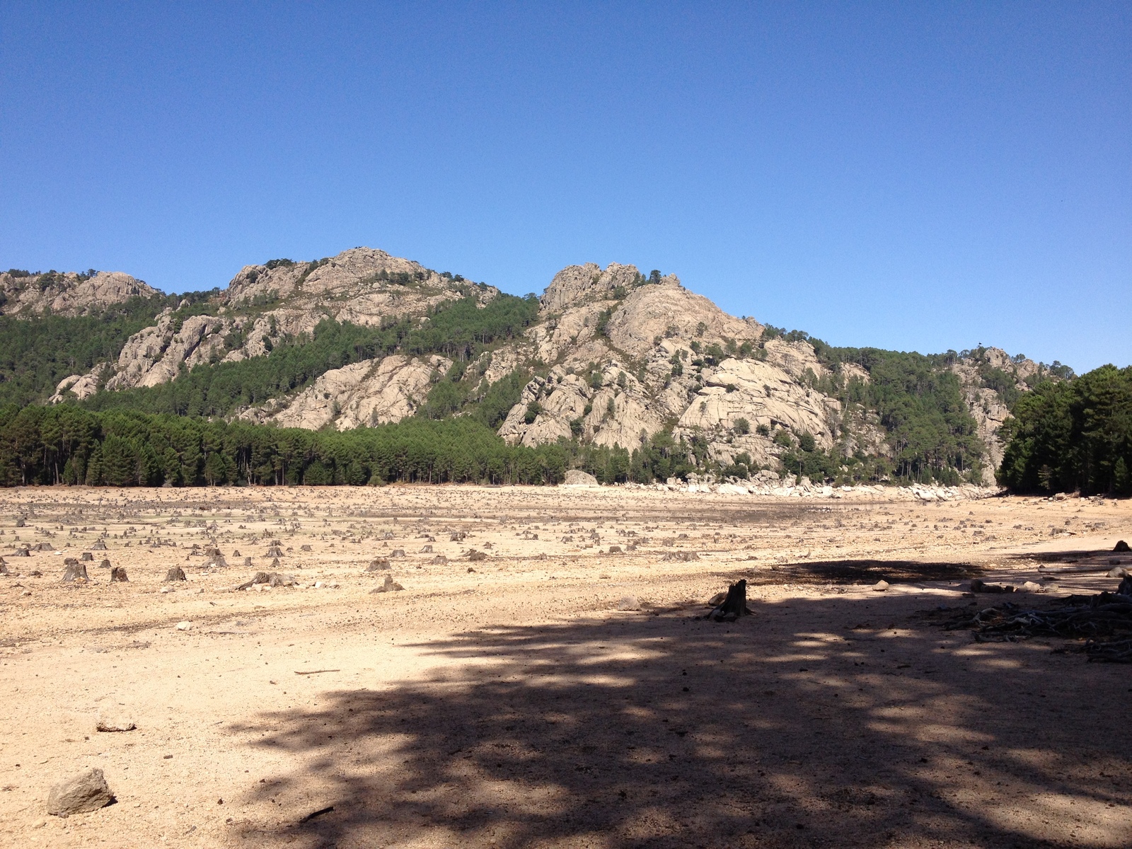照片 法国(France) 科西嘉岛(Corsica) 奥斯佩达莱森林(L'ospedale Forest) 2012-09 52