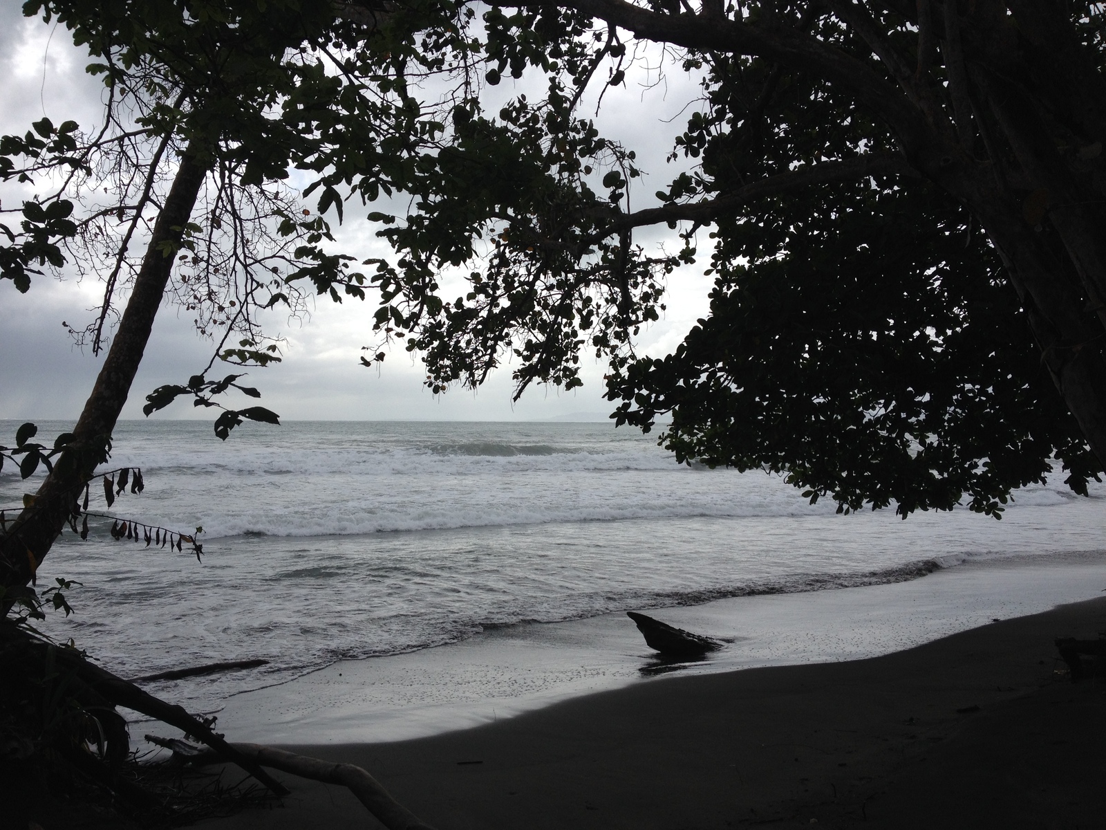 照片 哥斯达黎加(Costa Rica) 卡维塔(Cahuita) 2015-03 207