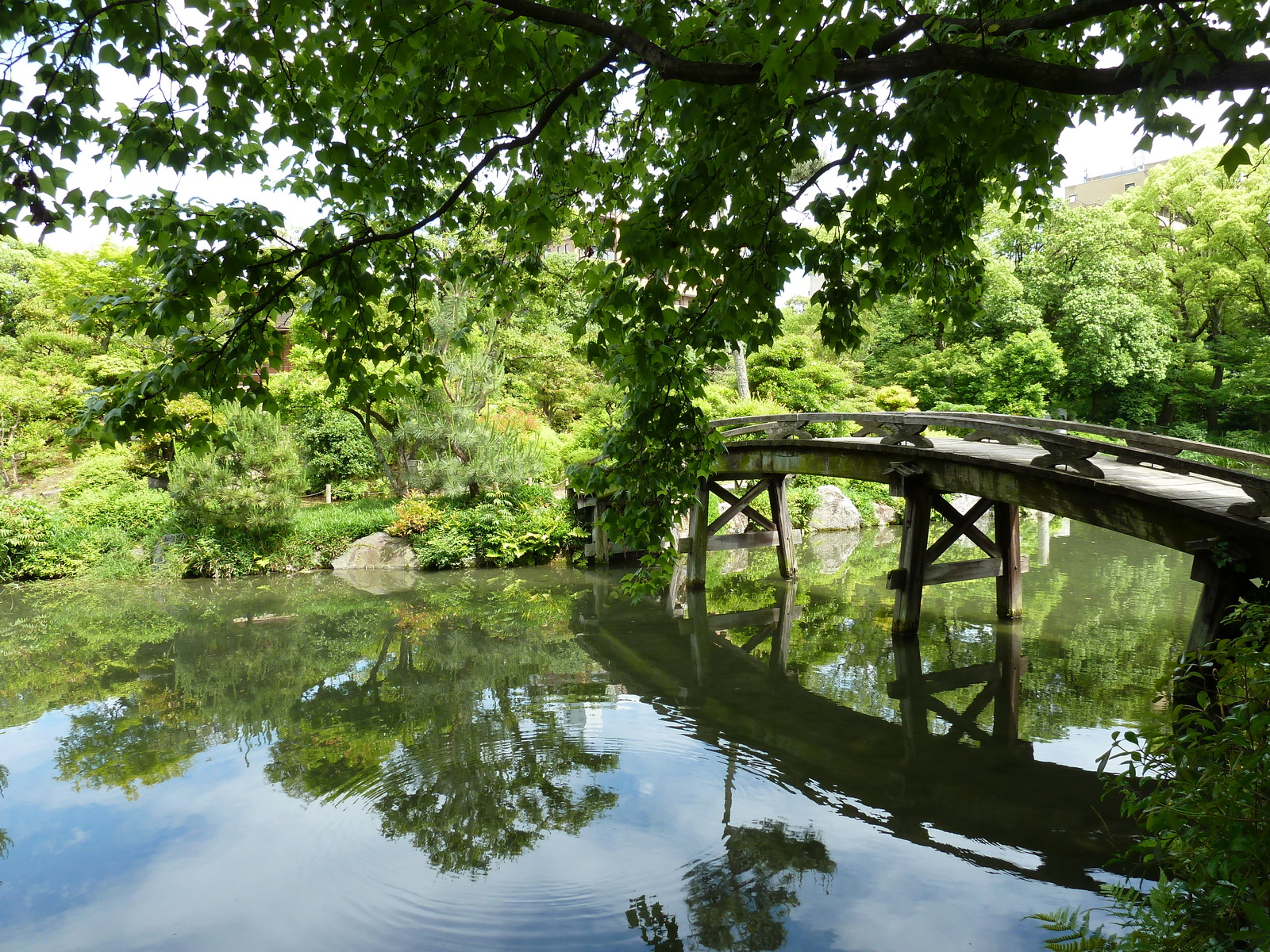 照片 日本(Japan) 京都(Kyoto) 涉成园(Shosei en Garden) 2010-06 80