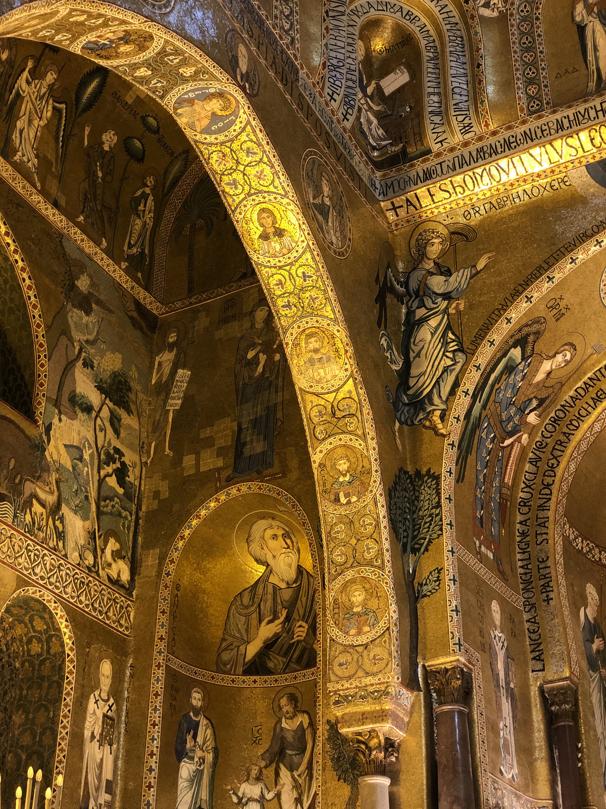 照片 意大利(Italy) 西西里岛(Sicily) 巴勒莫(Palermo) 诺曼王宫(Palazzo dei Normanni) 2020-02 243