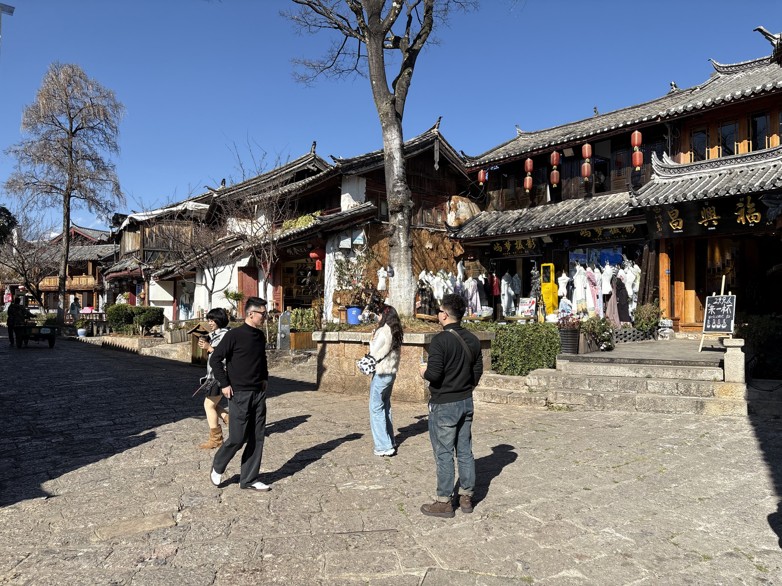 照片 中国(China) 丽江(Lijiang) 2026-01 509