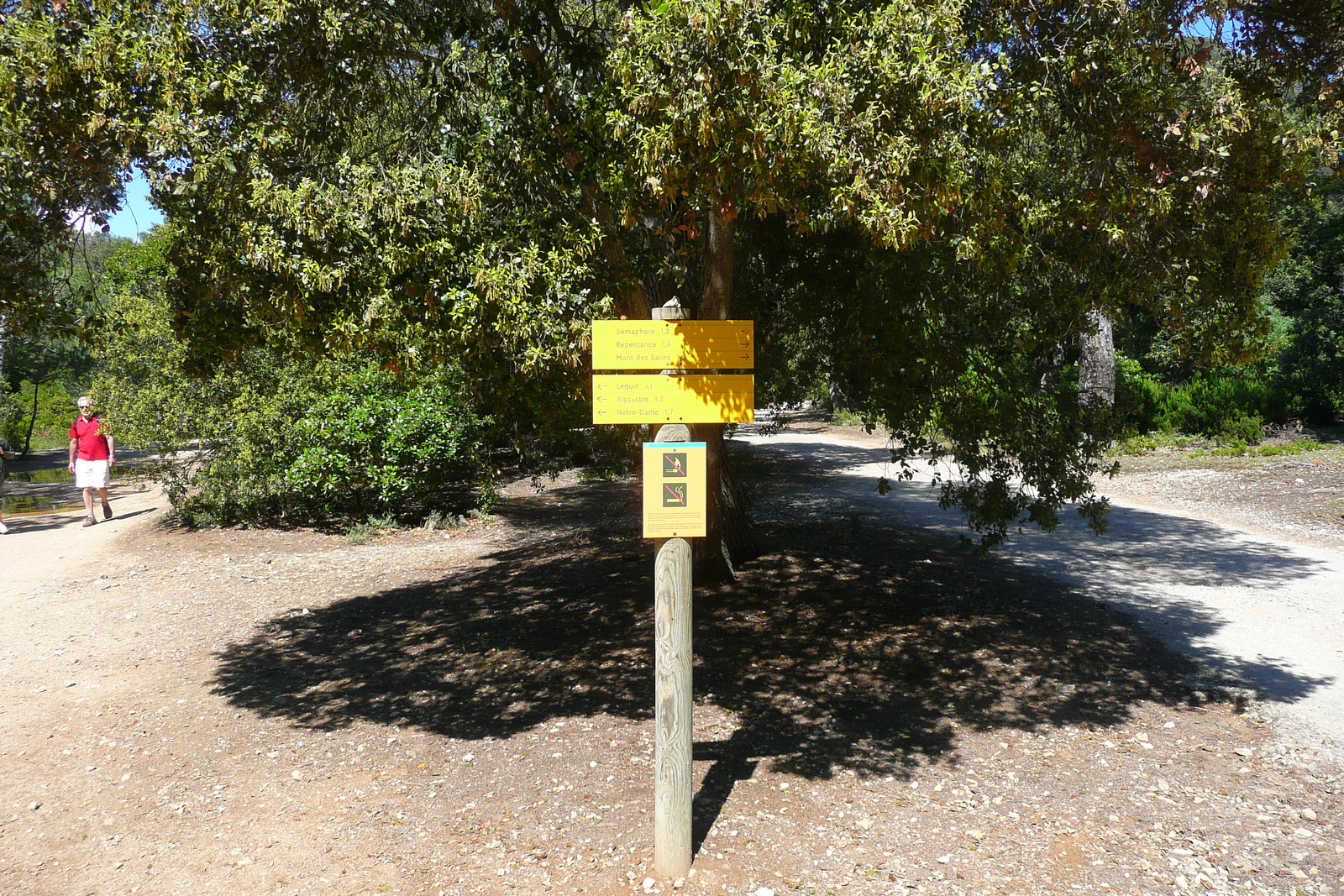 照片 法国(France) 波克罗勒岛(Porquerolles Island) 库尔塔德平原(Plaine de la courtade) 2008-05 14