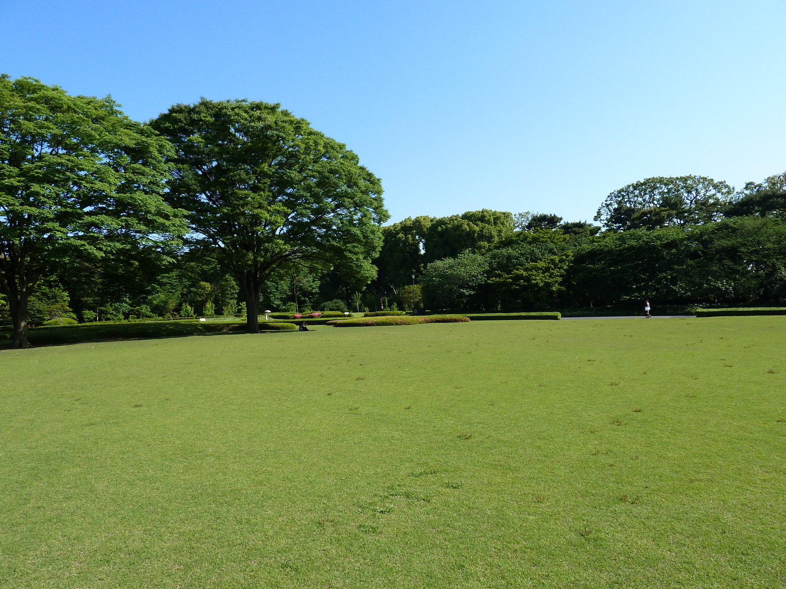 照片 日本(Japan) 东京(Tokyo) 皇居(Imperial Palace) 2010-06 70