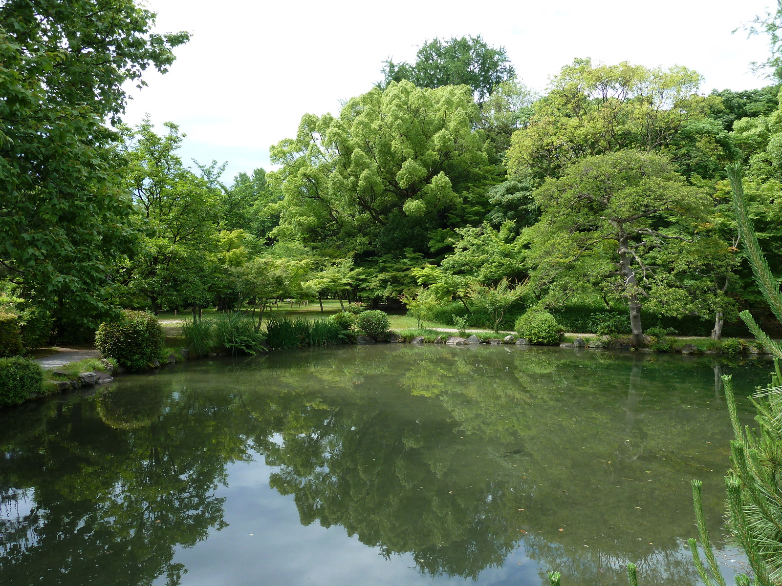 照片 日本(Japan) 京都(Kyoto) 涉成园(Shosei en Garden) 2010-06 20