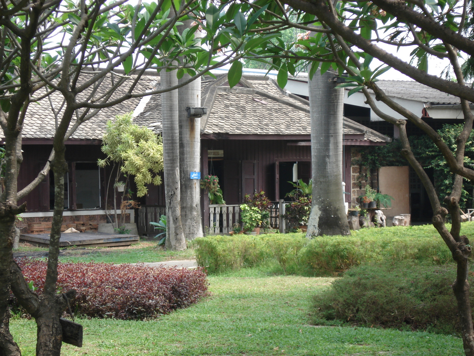 照片 泰国(Thailand) 清迈(Chiang Mai) 护城河内(Inside Canal) 布阿哈公园(Buak Had Park) 2006-04 21